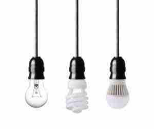 light bulbs